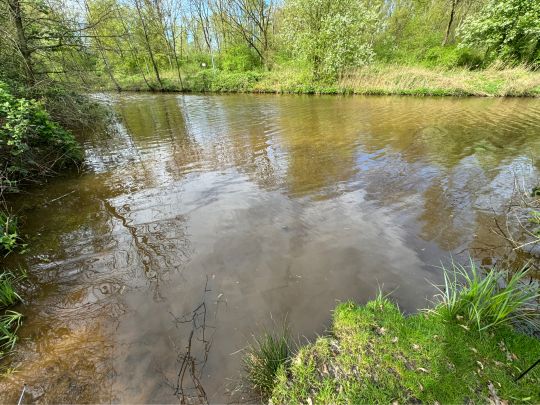 Kuhgraben (Bremen)-3