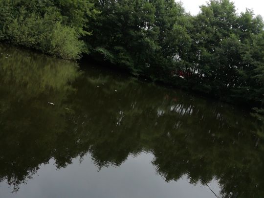 Weiher Wietmarschen-1