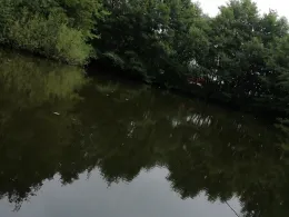 Weiher Wietmarschen-1