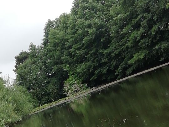 Weiher Wietmarschen-2