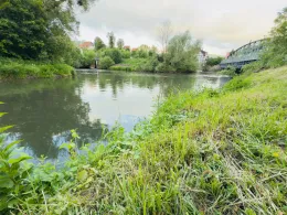 Leine (Freden/Leine)-3