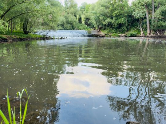 Leine (Freden/Leine)-1