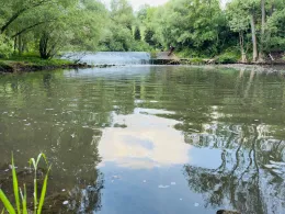 Leine (Freden/Leine)-1