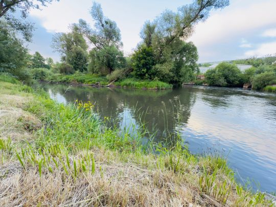 Leine (Freden/Leine)-2