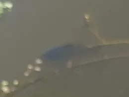 Industriesee (Ahaus)