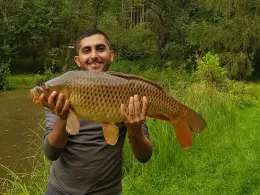 Teichanlage ASV Bierbach