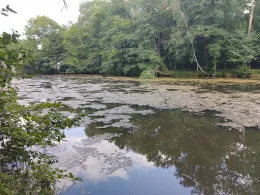 Mühlenteich (Bardenitz)