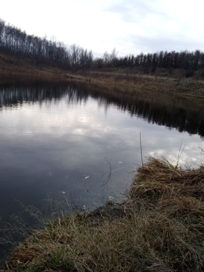 Heidesee (Falkenhain)-2