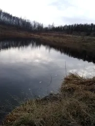 Heidesee (Falkenhain)-2