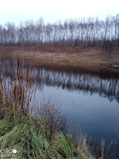 Heidesee (Falkenhain)-1