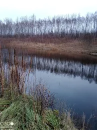 Heidesee (Falkenhain)-1