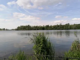 Grindgat Oost-Maarland-2