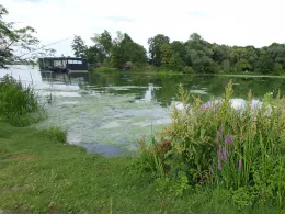 Grindgat Oost-Maarland-1