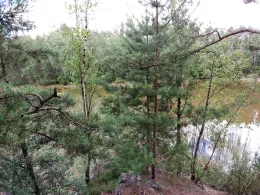 Weißer Bruch (Niesky)