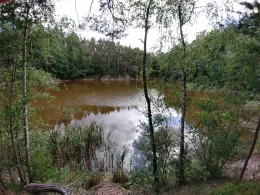 Weißer Bruch (Niesky)-1