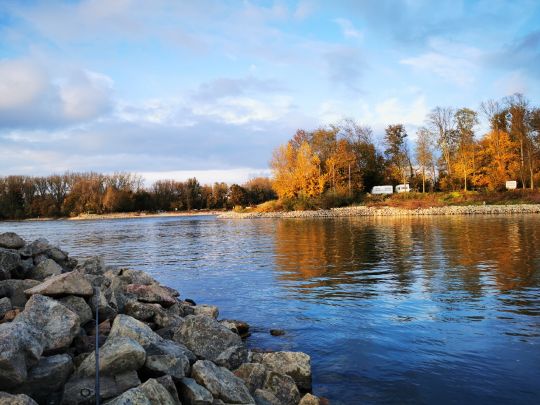 Weißenburger See (Philippsburg)-1