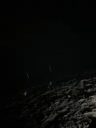 Weiche (Flensburg)-2