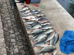 Alte Fahrt (Potsdam)