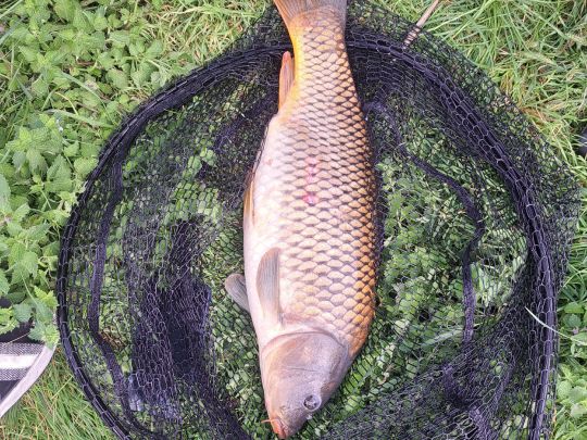 Schwemme (Sandersdorf-Brehna)