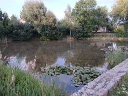 Schwemme (Sandersdorf-Brehna)-1