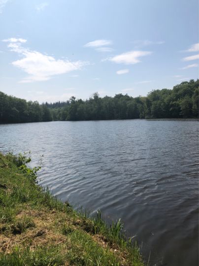 Mühlenteich (Obenstrohe)-2