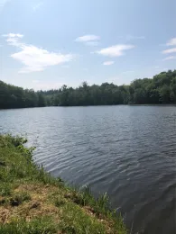 Mühlenteich (Obenstrohe)-2