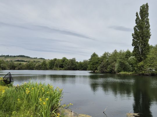 Vereinsgewässer ASV Besch