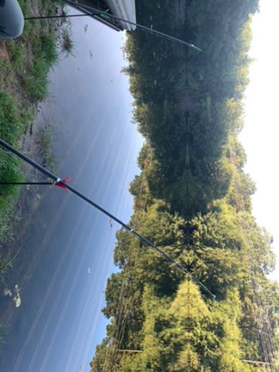 Steinbruchsee Steinheim-1