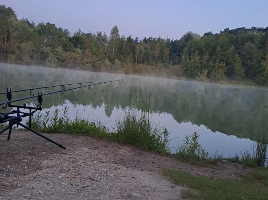 Coloradosee (Tarsdorf)-2