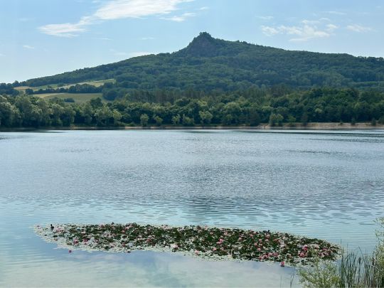 Binninger See