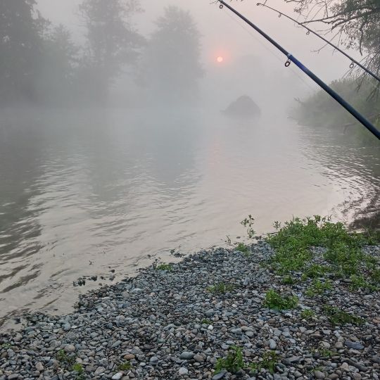 Ourthe (La Roche-en-Ardenne)-3