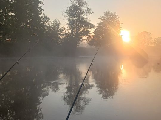 Ourthe (La Roche-en-Ardenne)-1