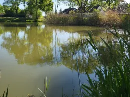 Vereinsgewässer Hohenberg Krusemark