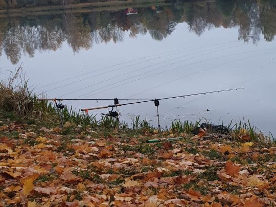 Zanderweiher (Bergkirchen)-1