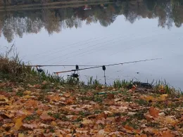 Zanderweiher (Bergkirchen)-1