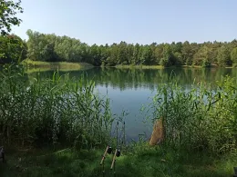 Vereinsgewässer Steinhagen-4