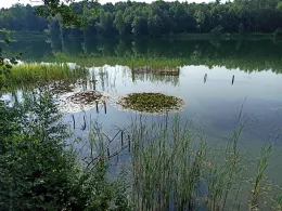 Vereinsgewässer Steinhagen-2