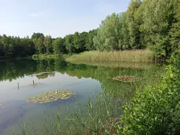 Vereinsgewässer Steinhagen-0