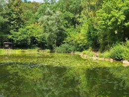 Angelpark Scheid-3