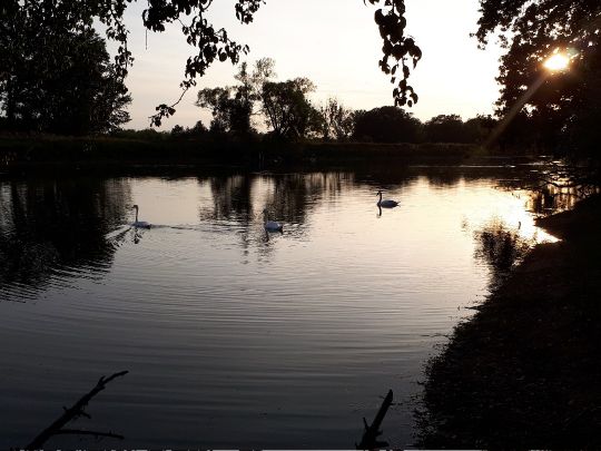 Booser Riß (Dabrun)