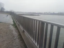 Rhein (Köln-Niehl)-1