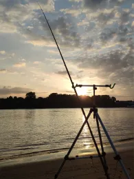 Rhein (Köln-Niehl)-3