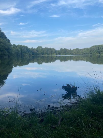 Verler See-2