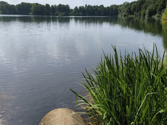 Verler See-3