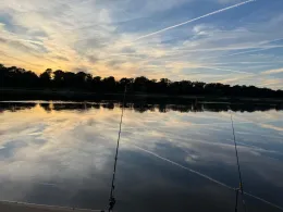 Lampes Tannen (Schönhausen (Elbe))-2