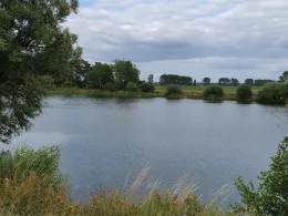 Lampes Tannen (Schönhausen (Elbe))