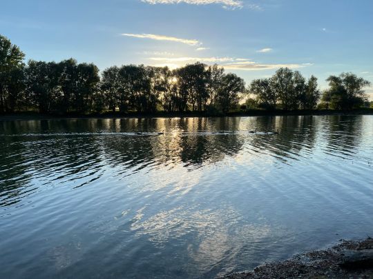 Monsterloch (Speyer)-3