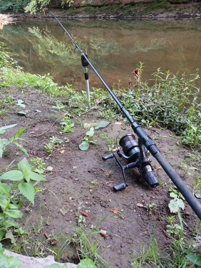 Sieg (Freusburg-Büdenholz)-4