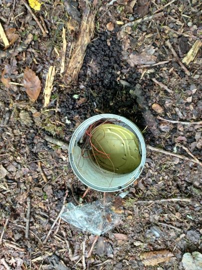 Sieg (Freusburg-Büdenholz)-1