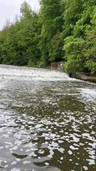 Sieg (Freusburg-Büdenholz)